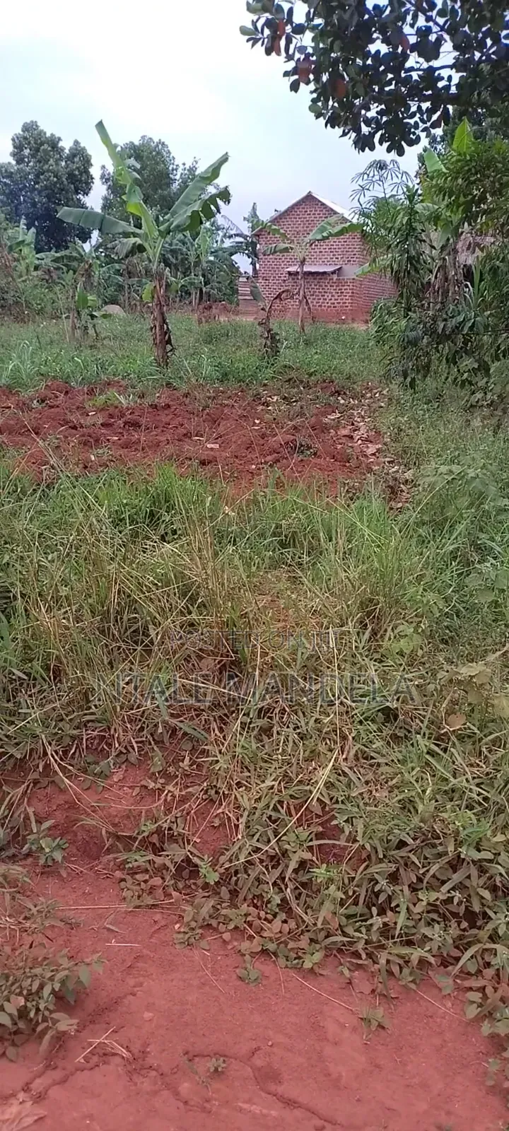 Land For Sell