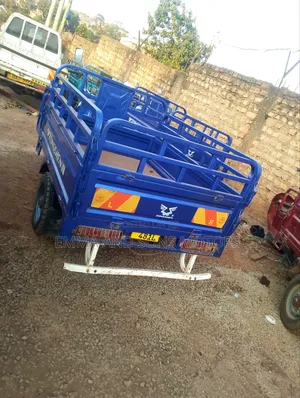 Tricycle 2024 Blue