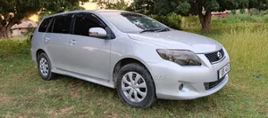 Toyota Corolla Fielder 2009 Silver