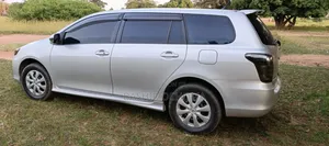 Toyota Corolla Fielder 2009 Silver