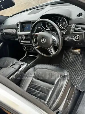 Mercedes-Benz M Class ML350 4dr SUV (3.5L 6cyl 7A) 2015 Silver
