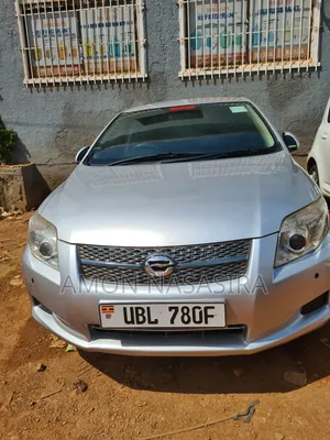 Toyota Corolla Fielder 2010 Silver