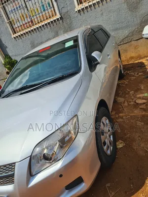 Toyota Corolla Fielder 2010 Silver