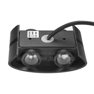 2 Eye Wall Light in Warm Color