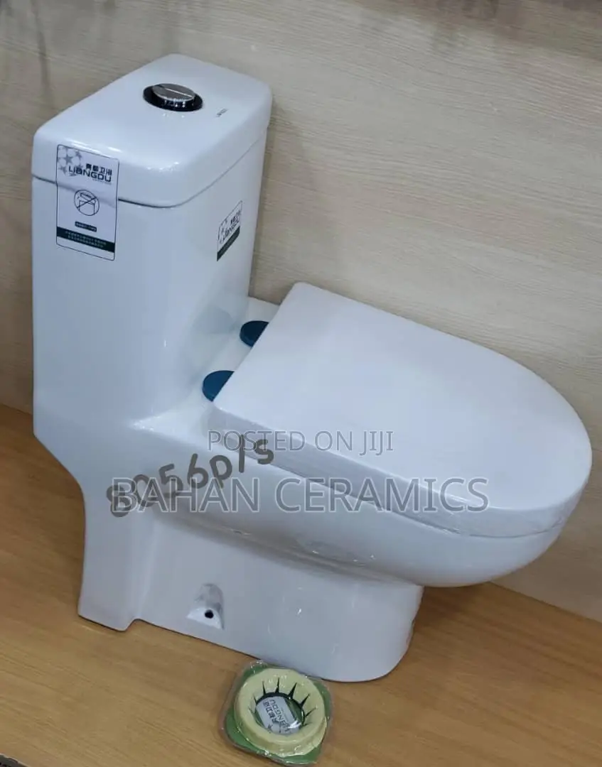 S Trap Toilets