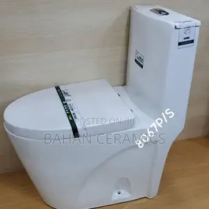 S Trap Toilets