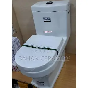 S Trap Toilets