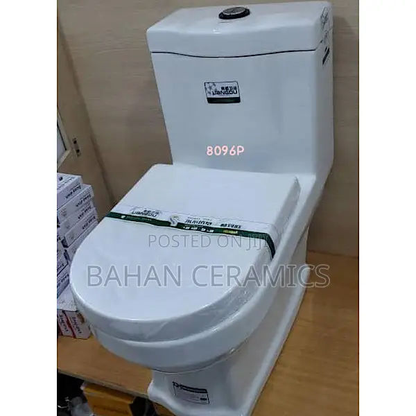 S Trap Toilets