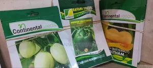 Tomato Rio Grande (Quality Seeds)