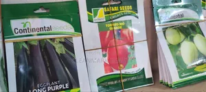 Tomato Rio Grande (Quality Seeds)