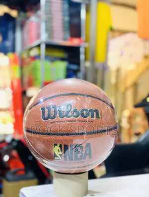 Nba Gold Evolution Wilson Basketball