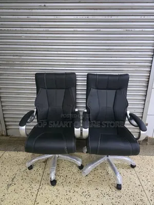 Silver Armed Office Chairs Office Chairs 1 PCS