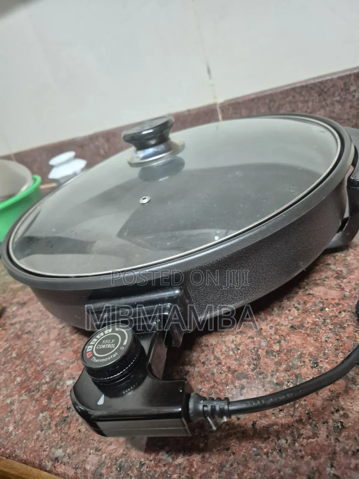 New Electric Pan
