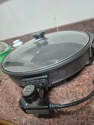 New Electric Pan