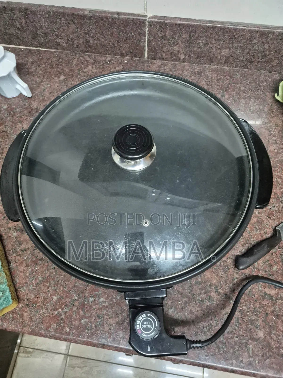 New Electric Pan