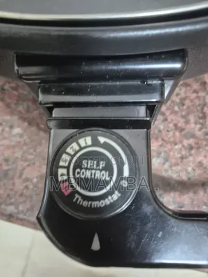 New Electric Pan