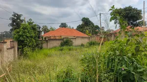 Quick Sale Plot in Nalya Behind Quality Super Market 12.5decimals