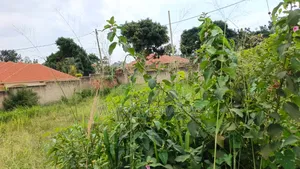 Quick Sale Plot in Nalya Behind Quality Super Market 12.5decimals