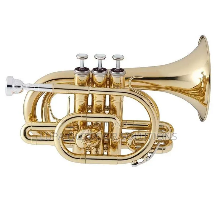 Brass Instruments for Churches and Musical Bands