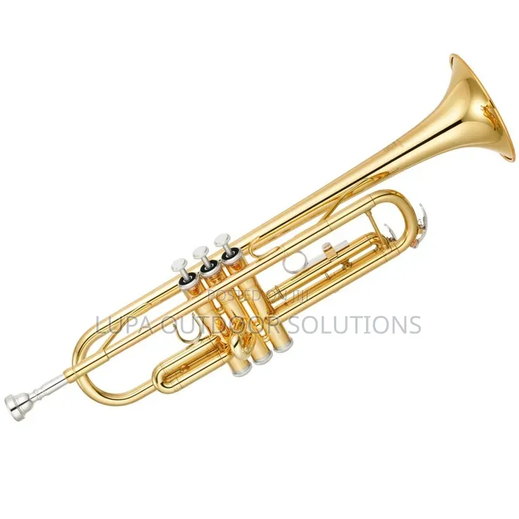 Brass Instruments for Churches and Musical Bands