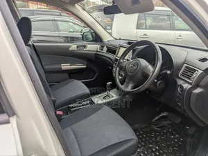 Subaru Exiga 2010 Silver