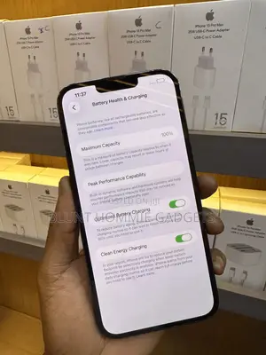 Apple iPhone 13 Pro Max 256 GB Green