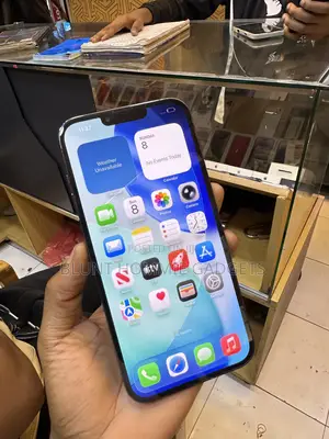Apple iPhone 13 Pro Max 256 GB Green