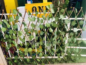 Expanding Fence Flower