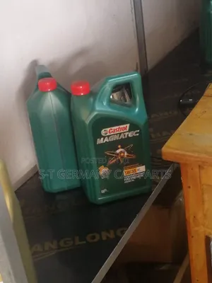 Castrol Magnatec Engine Oil