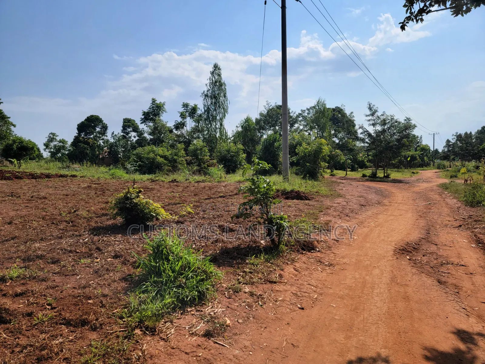 Musita Lugolole Centre Cheap Plots From 5m Onwards