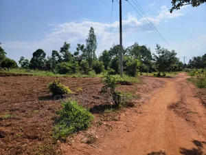 Musita Lugolole Centre Cheap Plots From 5m Onwards