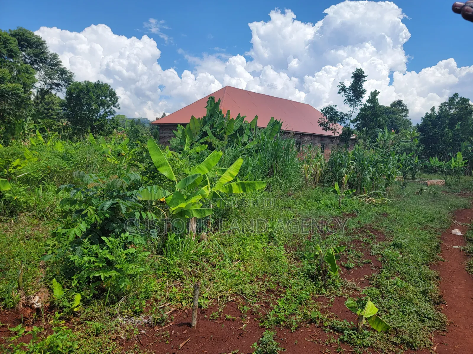 Cheap Strategic Plot for Sale at Namulesa Jinja City