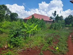 Cheap Strategic Plot for Sale at Namulesa Jinja City