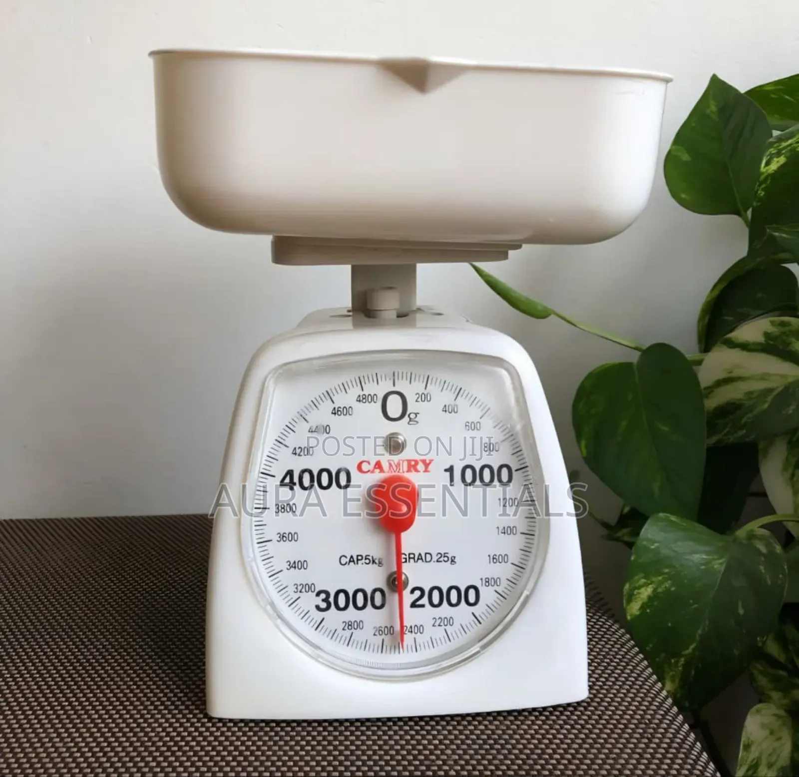 Camry Mechanical Kitchen Scale