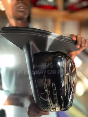 W166 Side Mirror