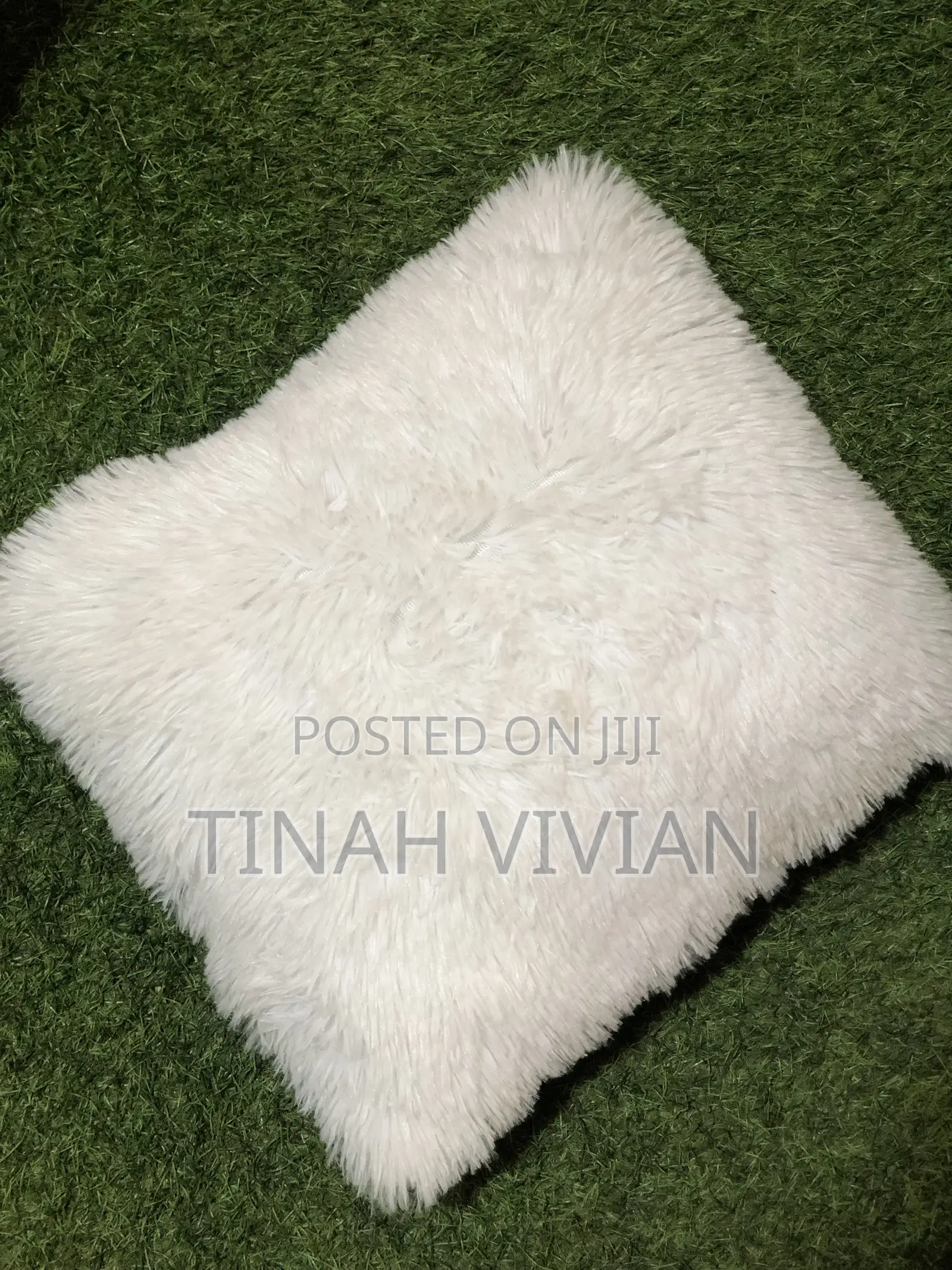Cushions Pillows