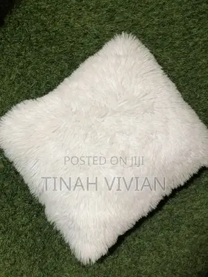 Cushions Pillows