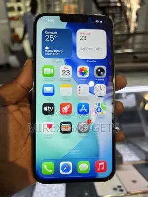 Apple iPhone 13 Pro Max 1 TB Blue