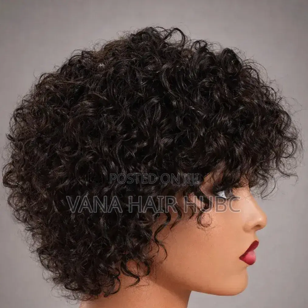 Short Curly Wig