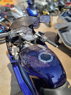 Kawasaki Bike 2001 Blue