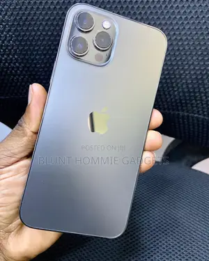 Apple iPhone 12 Pro Max 128 GB Gray