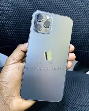 Apple iPhone 12 Pro Max 128 GB Gray