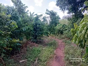 6acres With Coffee Plantation for Sale