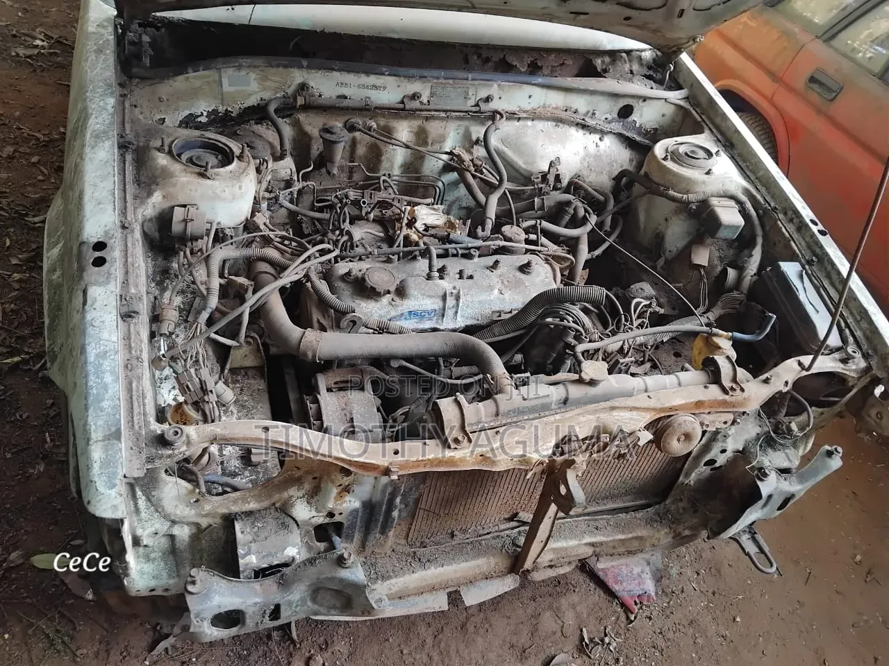 Toyota Corolla 1998 White