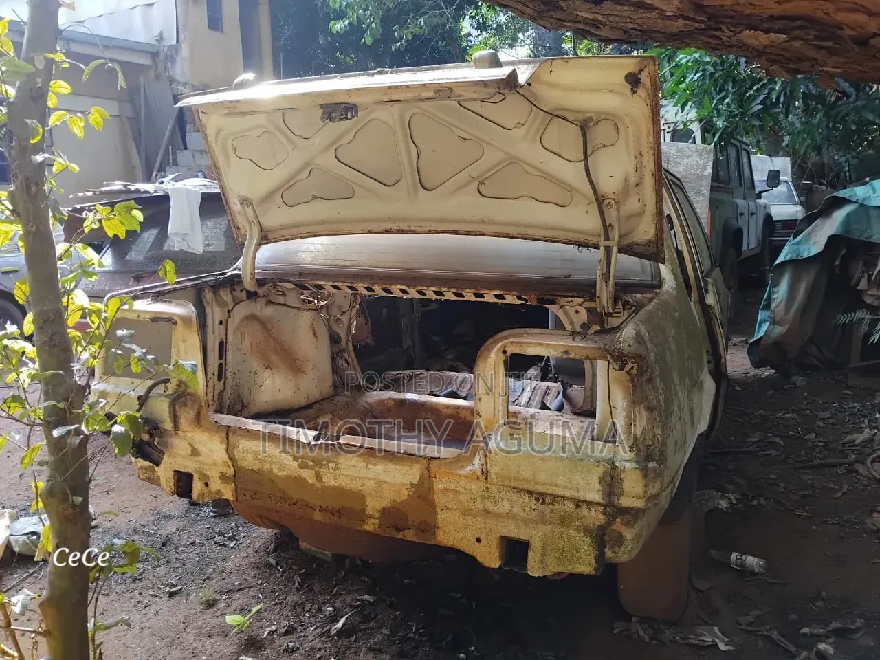 Toyota Corolla 1998 White