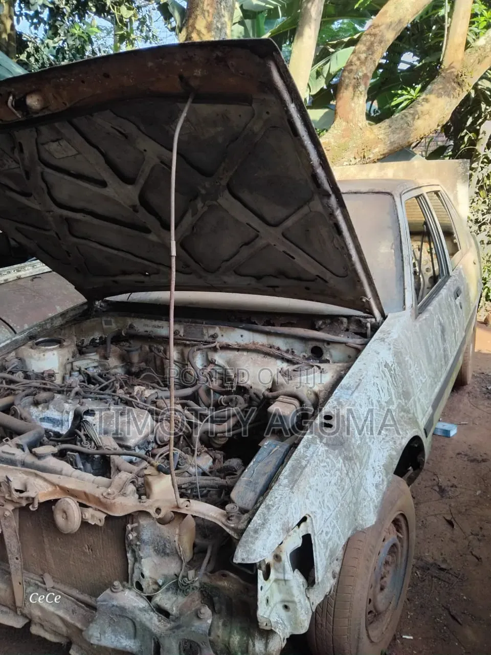 Toyota Corolla 1998 White