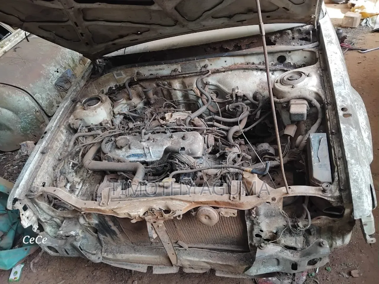 Toyota Corolla 1998 White