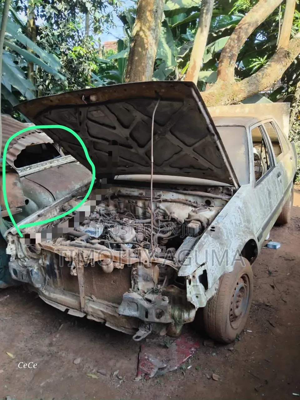 Toyota Corolla 1998 White