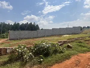 50*50 Plot for Sale in Katale