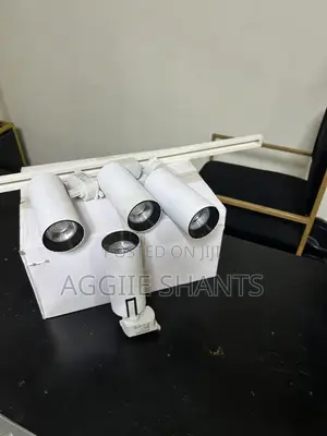 Track Lights